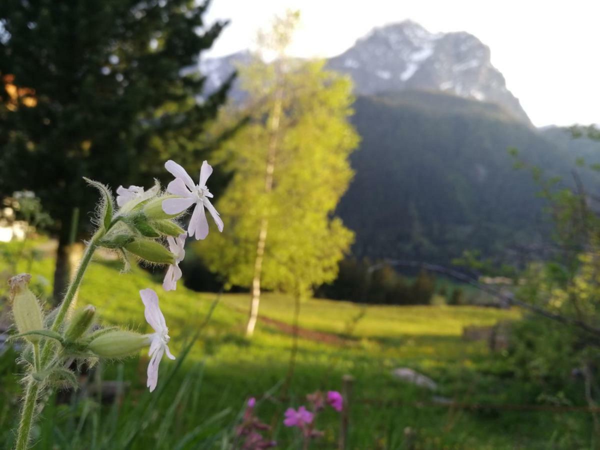 Kofelhof Villa Sexten Bagian luar foto